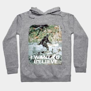 I Want To Believe In Bigfoot Hoodie